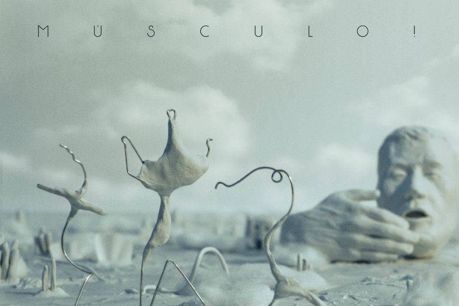 musculo! disco debut electronica